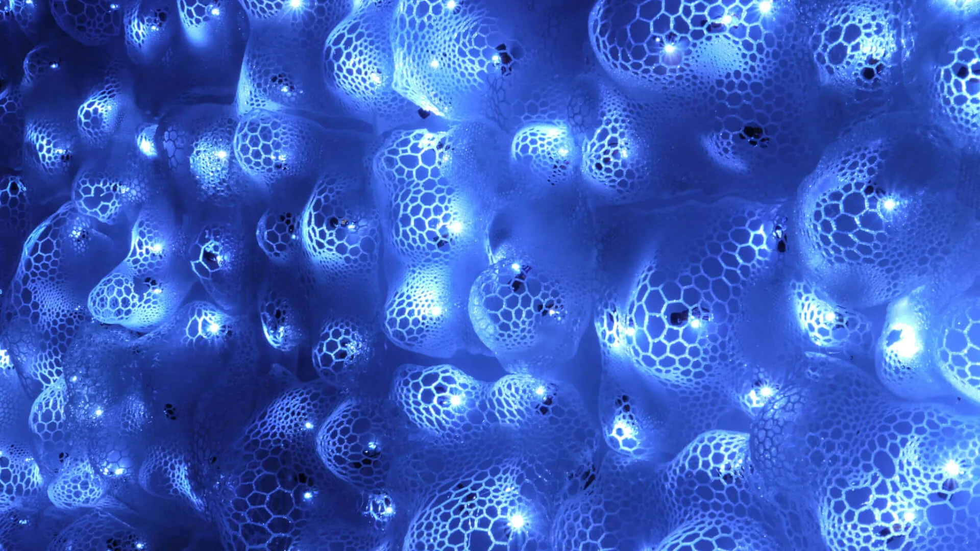 Stay True to Yourself