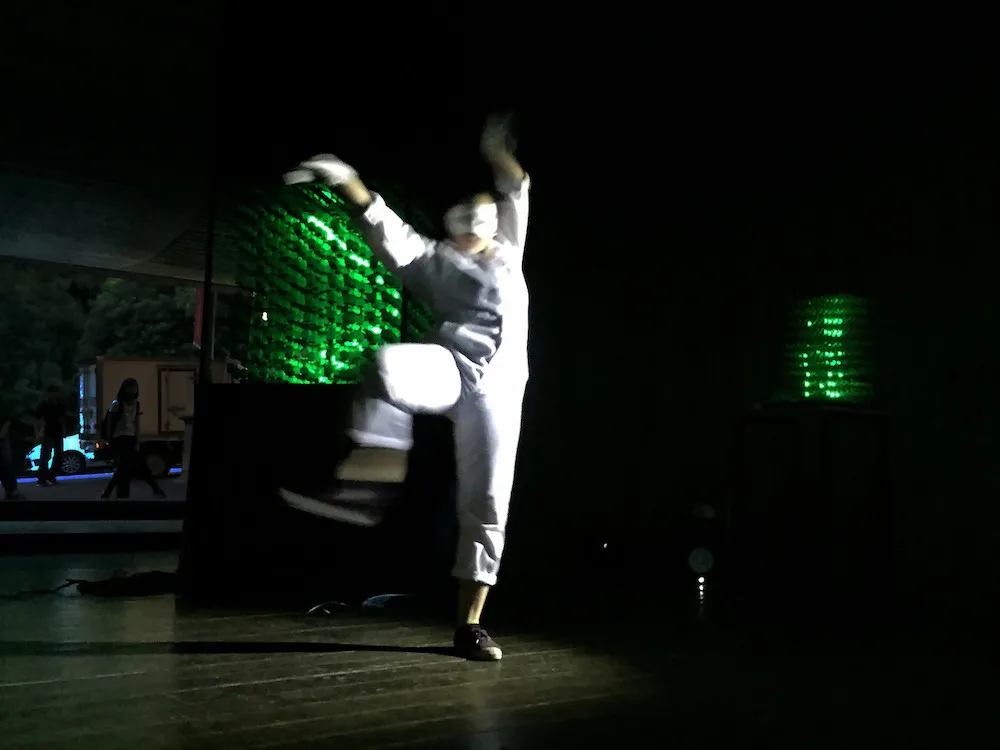 Figure 8C. Flash performance stage view