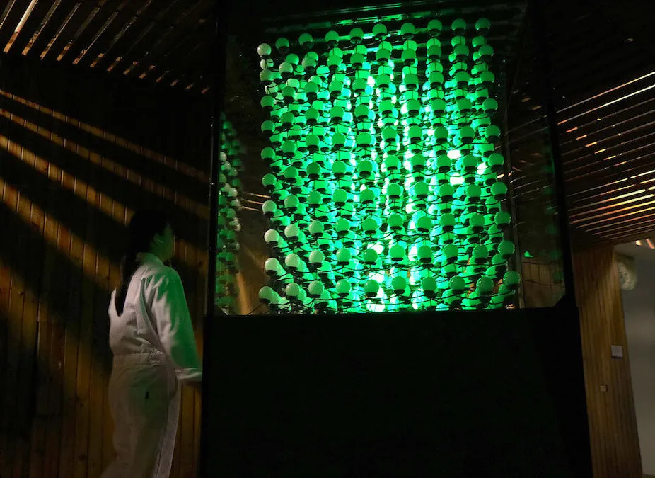 Figure 2B. Audience interaction 2