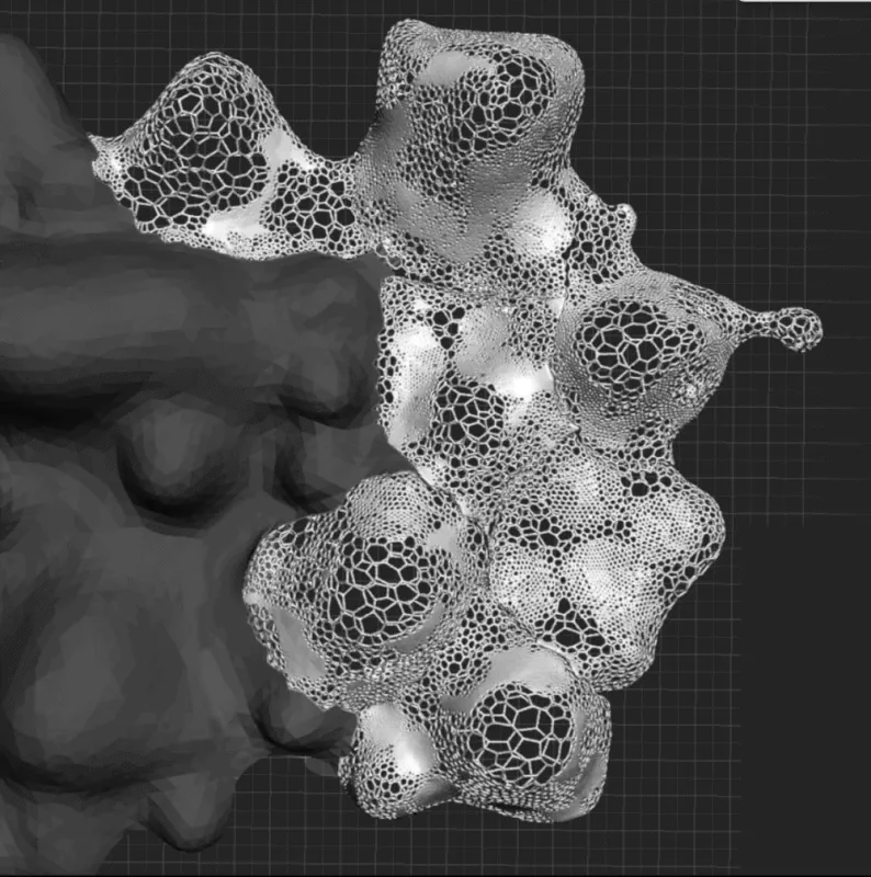 Figure 5C. Segment Model