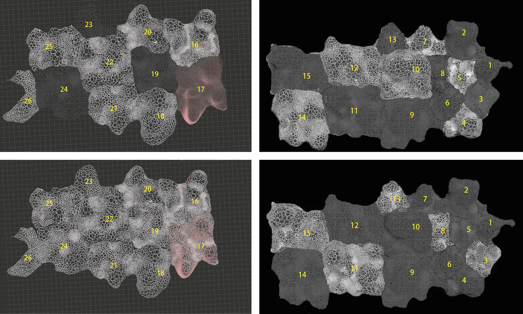 Figure 5A. 3D Wall Model