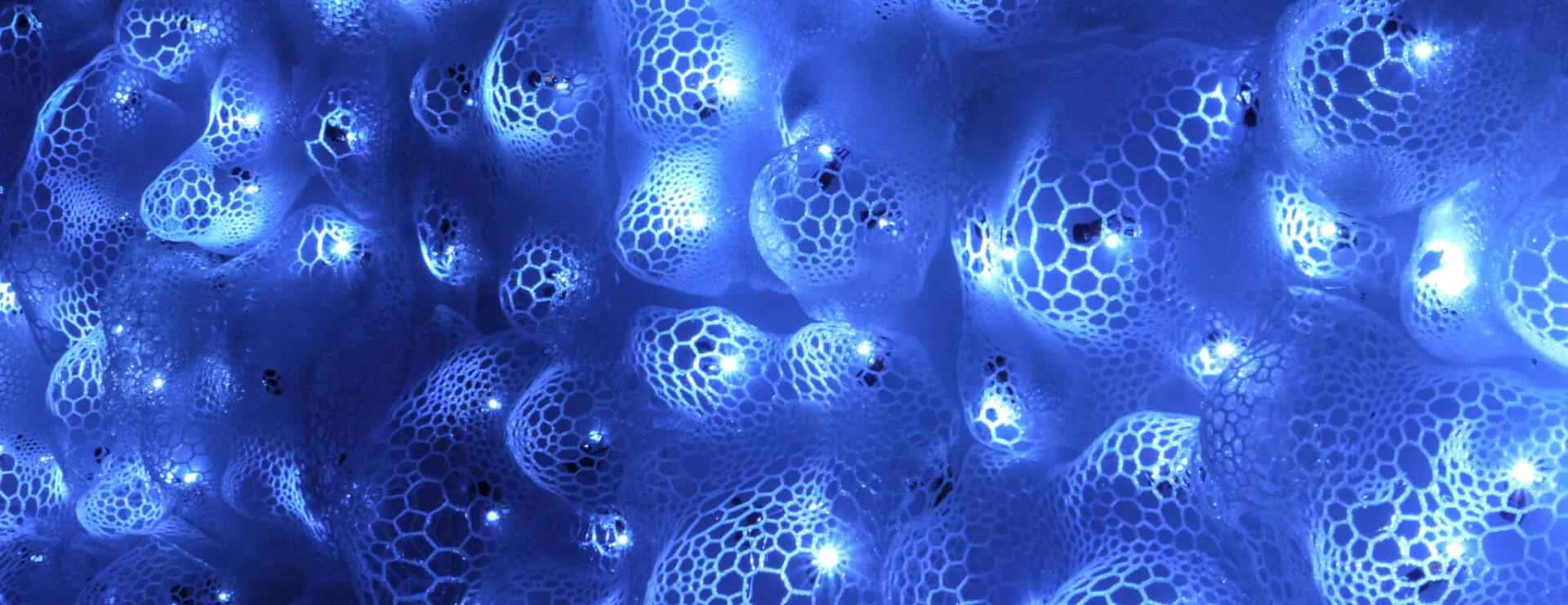 Stay True to Yourself