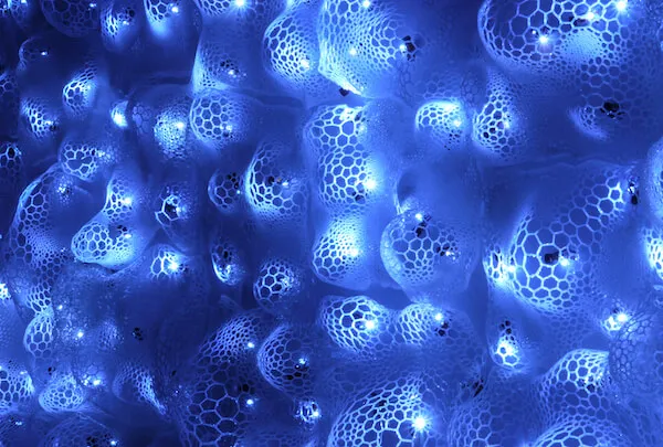 Stay True to Yourself